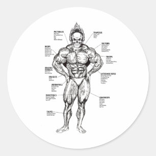 Pegatina Redonda Gráfico muscular y guía de ejercicios - Motivación