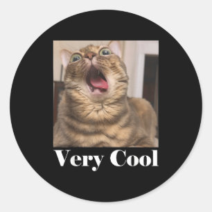 Pegatina Redonda Gráficos de Meme de Gatos Humor de Gato Tonto Gato