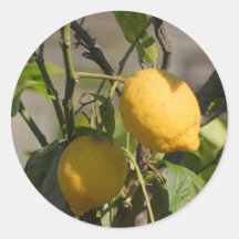 Gráficos limones españoles