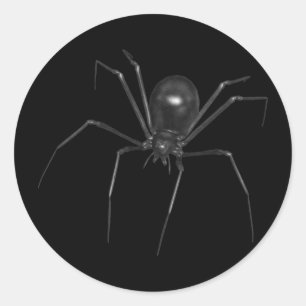 Pegatina Redonda Gran Araña 3D Creepy Negro
