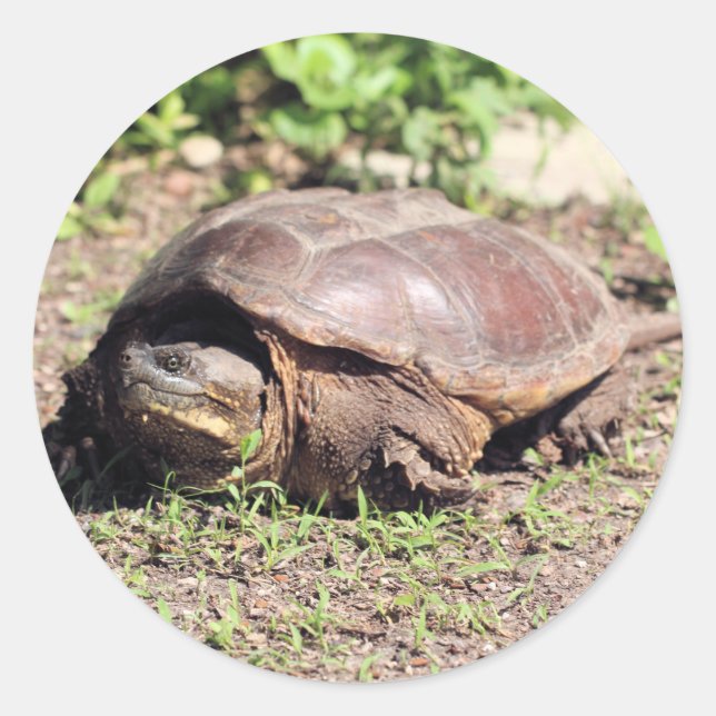 Pegatina Redonda Gran chico (Anverso)