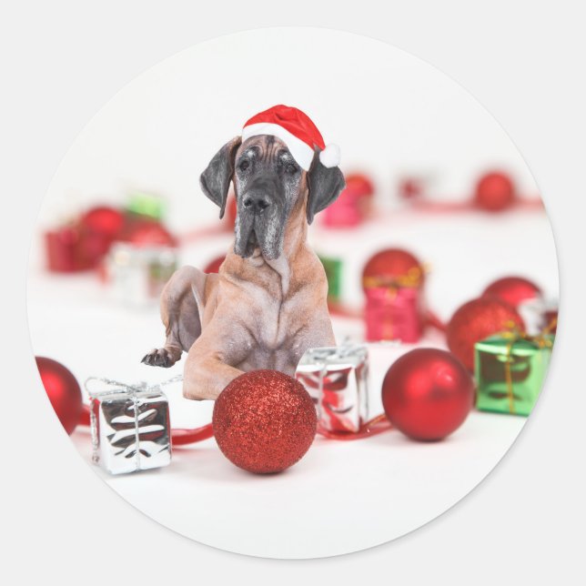 Pegatina Redonda Gran Danés con Adornos de Navidad Regalos (Anverso)