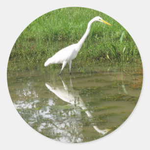 Pegatina Redonda Gran Egret Blanco