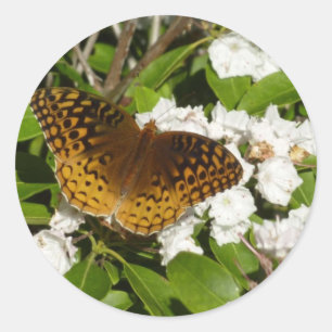 Pegatina Redonda Gran Fritillary Manchado en Laurel de Montaña