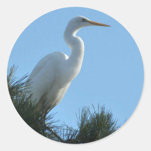Pegatina Redonda Gran Garza en Florida Soleada
