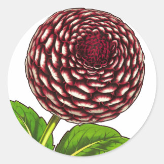 Pegatina Redonda Gran impresión de Van Houtte de color rojo/morado 
