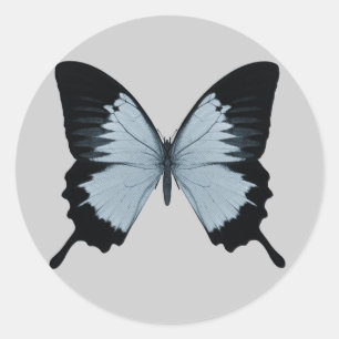 Pegatina Redonda Gran mariposa azul y negra