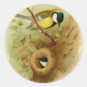 Pegatina Redonda Gran ojo - pájaro colorido, arte