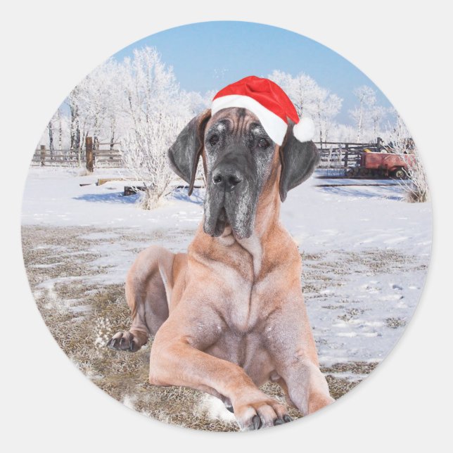 Pegatina Redonda Gran Perro De Azulejos Sentado En Gorra De Navidad (Anverso)