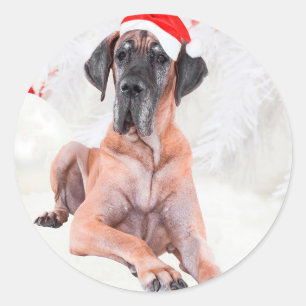 Pegatina Redonda Gran sombrero de perro Dane Feliz Navidad