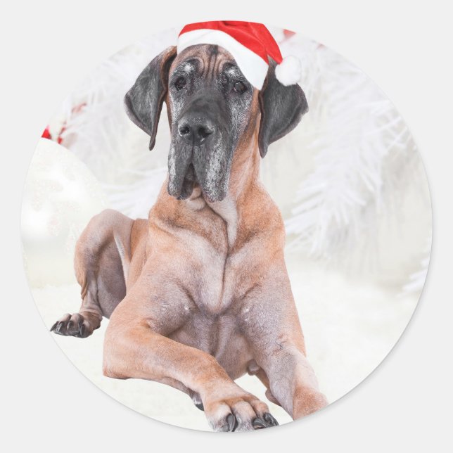 Pegatina Redonda Gran sombrero de perro Dane Feliz Navidad (Anverso)