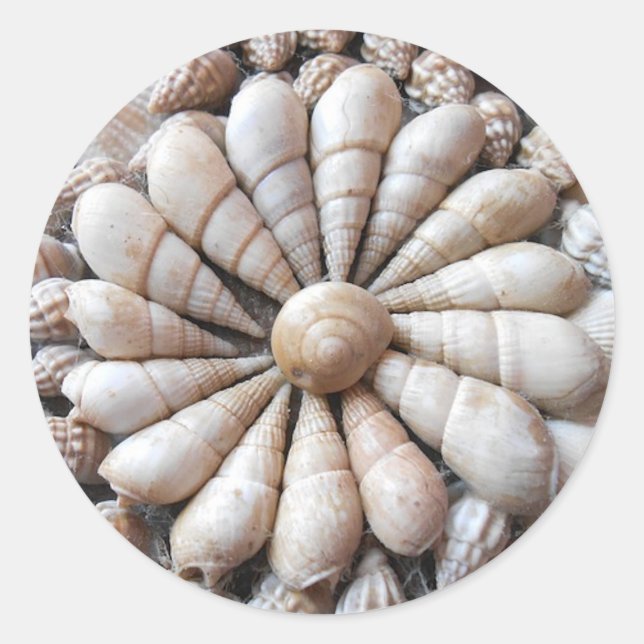Pegatina Redonda Grandes Pegatinas Artísticos de conchas marinas re (Anverso)