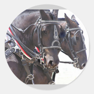 Pegatina Redonda Grandes Pegatinas de Caballos
