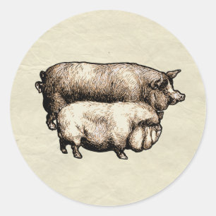Pegatina Redonda Granja Antigüa Cerdo País Antigüedad Ganado