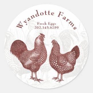 Pegatina Redonda Granja de aves de corral Wyandotte Pollos huevos f
