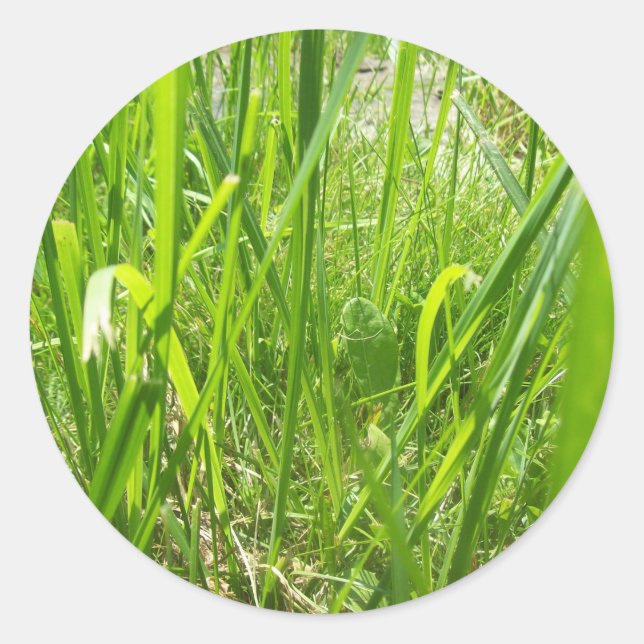 Pegatina Redonda Grasa (Anverso)