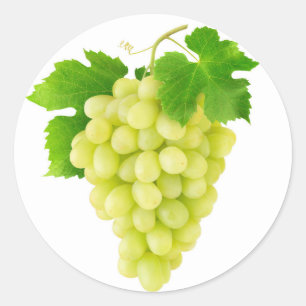 Pegatina Redonda Grasa blanca