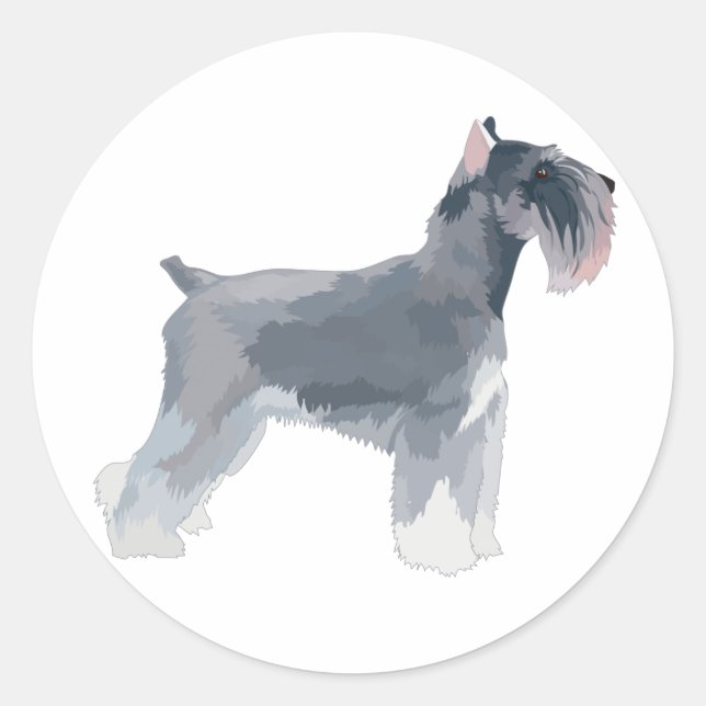 Pegatina Redonda Gray Schnauzer (Anverso)
