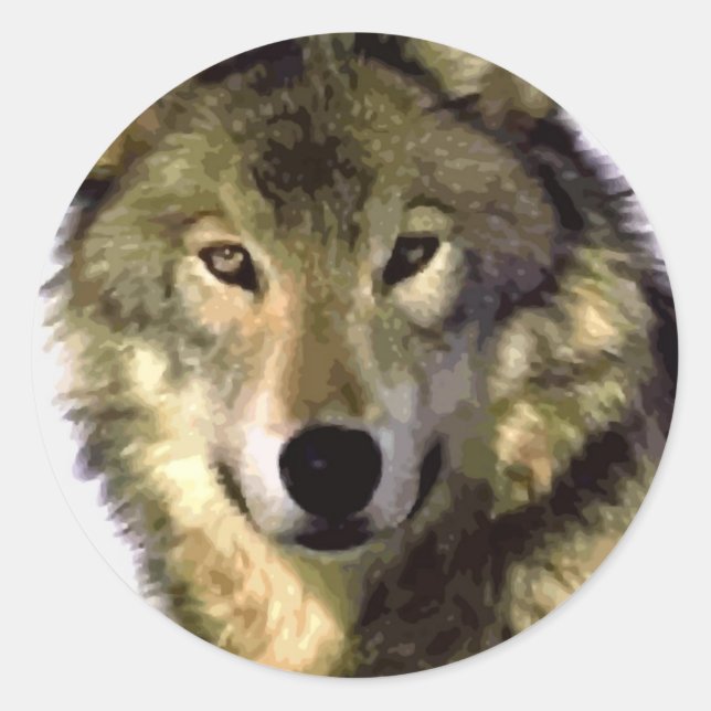 Pegatina Redonda Gray Wolf (Anverso)