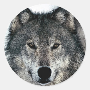 Pegatina Redonda Gray Wolf