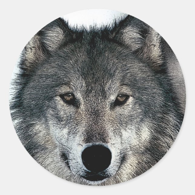 Pegatina Redonda Gray Wolf (Anverso)