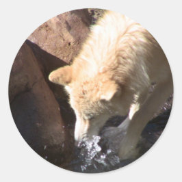 Pegatina Redonda Gray Wolf