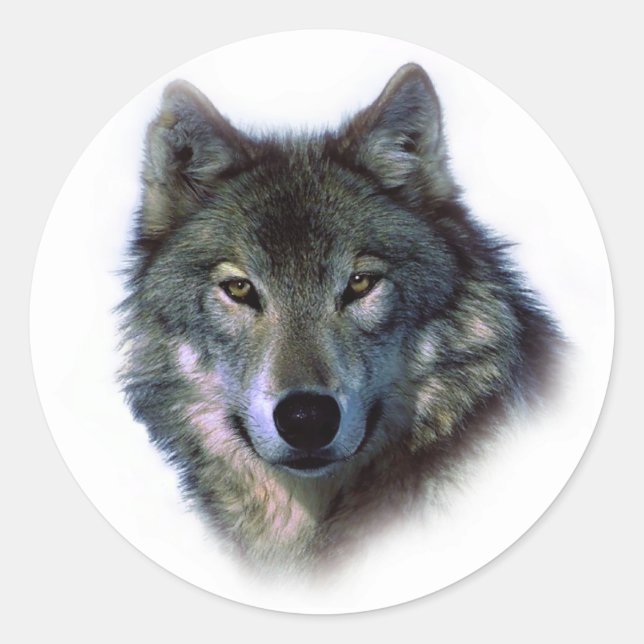 Pegatina Redonda Gray Wolf Eyes (Anverso)