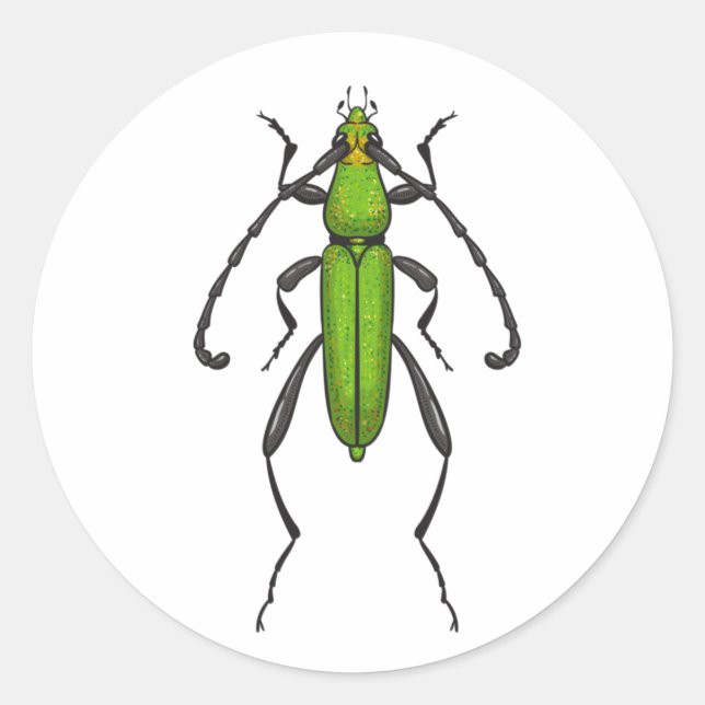 Pegatina Redonda Green beetle (Anverso)