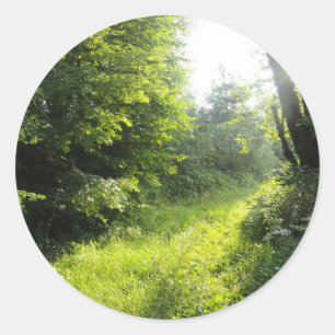 Pegatina Redonda Green Forest Meadow