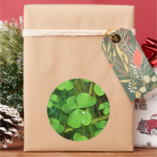 Pegatina Redonda Green Shamrock St Patrick's iPhone 5 Funda-Mate