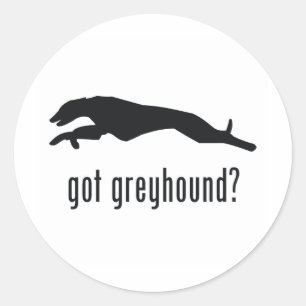 Pegatina Redonda Greyhound