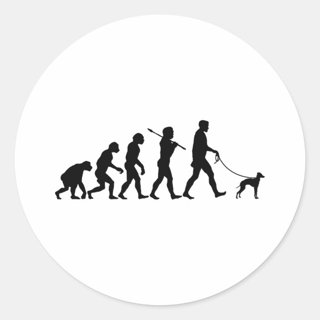 Pegatina Redonda Greyhound italiano (Anverso)