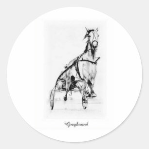 Pegatina Redonda Greyhound Trotter