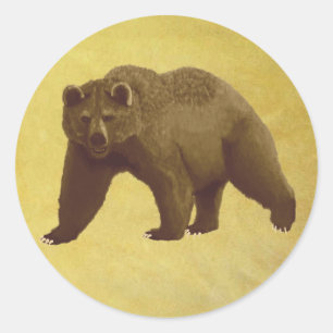 Pegatina Redonda Grizzly Bear