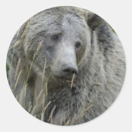 Pegatina Redonda Grizzly_Bear_Lovers