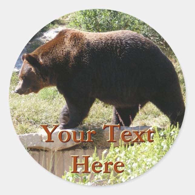 Pegatina Redonda Grizzly Bear Pegatinas (Anverso)