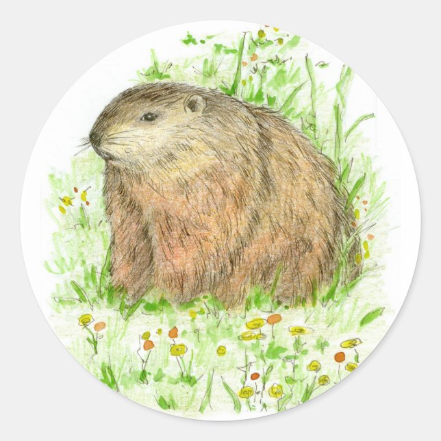 Pegatina Redonda Groundhog Day Woodchuck Rodent Animal (Anverso)