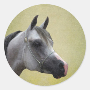 Pegatina Redonda Grunge árabe del caballo