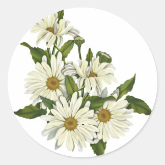 Pegatina Redonda Grupo Daisy