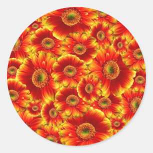 Pegatina Redonda Gslow Gerbera Daisies