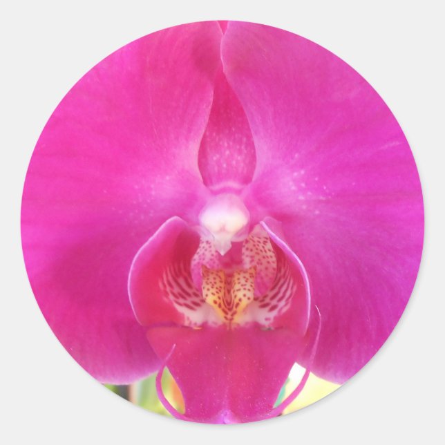 Pegatina Redonda Guda (Anverso)