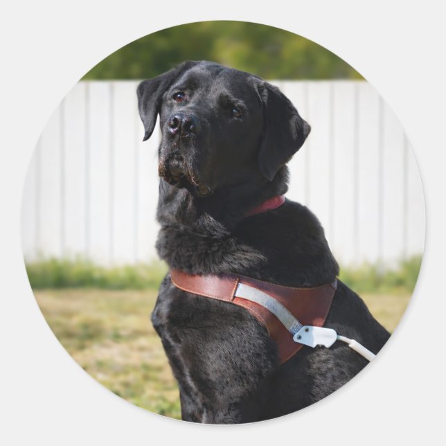 Pegatina Redonda Guide Dog Envelope Seal – Black LabradorWisdom (Anverso)