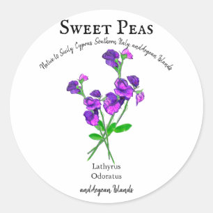 Pegatina Redonda Guisantes dulces morados Flores arte con texto