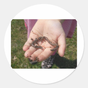 Pegatina Redonda gusanos en manos de niños