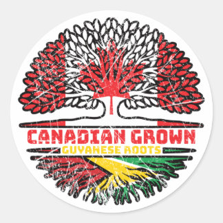 Pegatina Redonda Guyana Guyanesa Canadá canadiense árbol roba bande