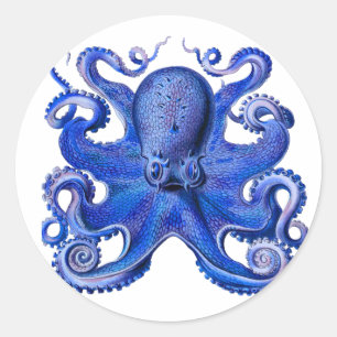 Pegatina Redonda Haeckel Octopus Blue