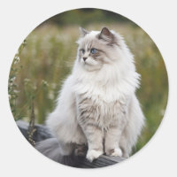 Haga su propio Mascota de fotografía Personalizado
