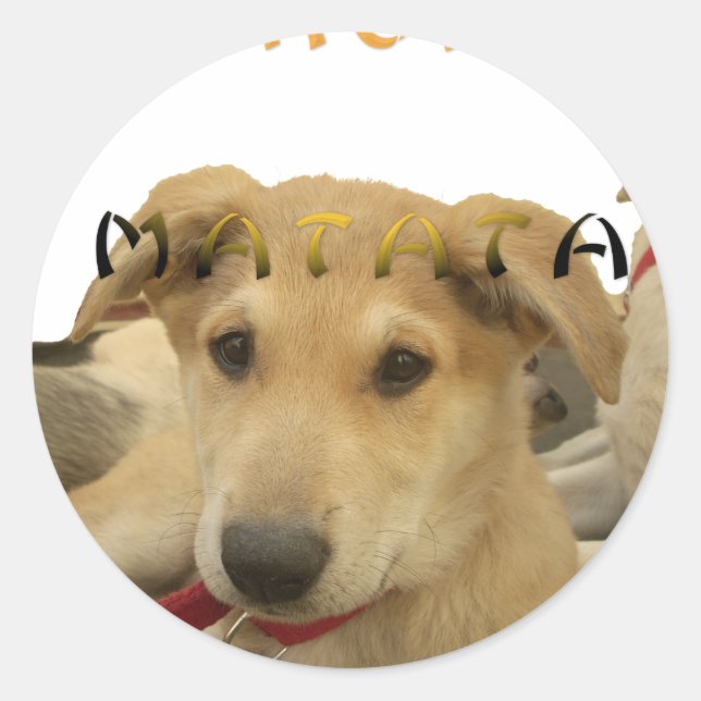 Pegatina Redonda Hakuna Matata Sé lo que estás pensando pinctur (Anverso)