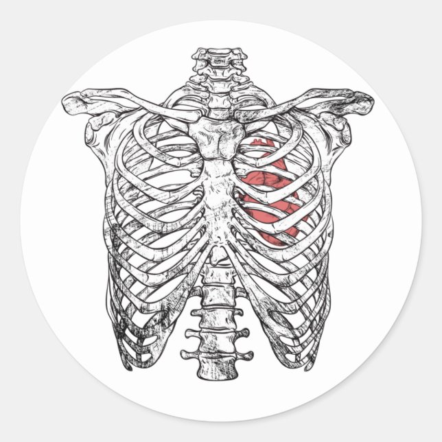 Pegatina Redonda Halloween de la vendimia y la anatomía cardíaca (Anverso)