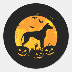 Pegatina Redonda Halloween Greyhound Jack Calabaza de cachorros d
